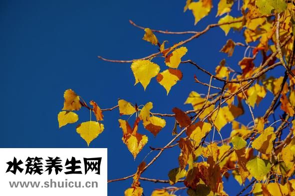 立秋是什么時候