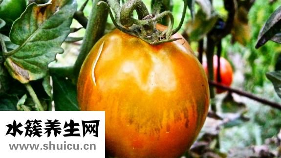 用什么方法可以祛斑