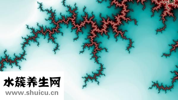 前列腺吃什么藥