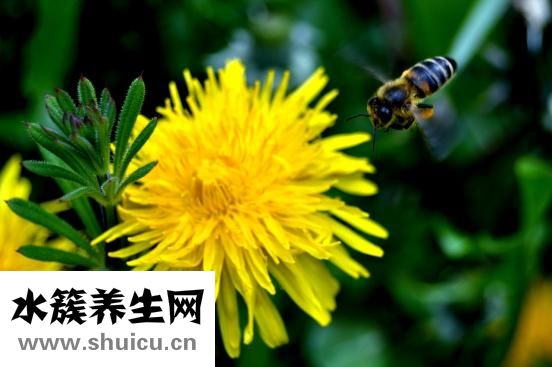 怎么樣可以祛斑