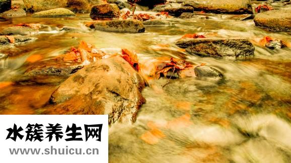 前列腺吃什么藥