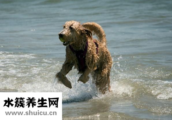 一直打嗝不止怎么辦