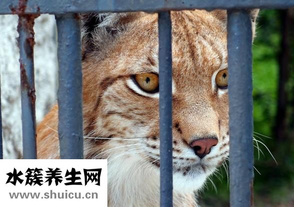 眼部皺紋怎么消除