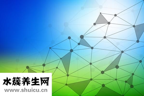 鼻子整容哪里好