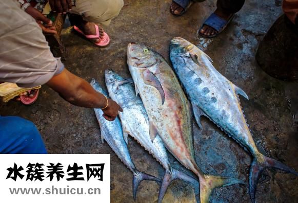 痛經(jīng)吃什么食物