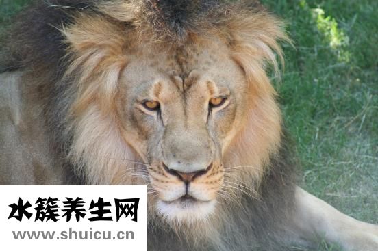 不知道為了什么