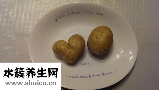 什么減肥藥效果好