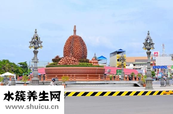 榴蓮沒熟怎么辦