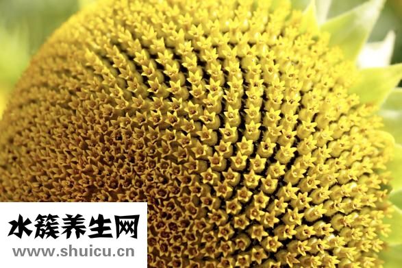 花粉過敏怎么辦