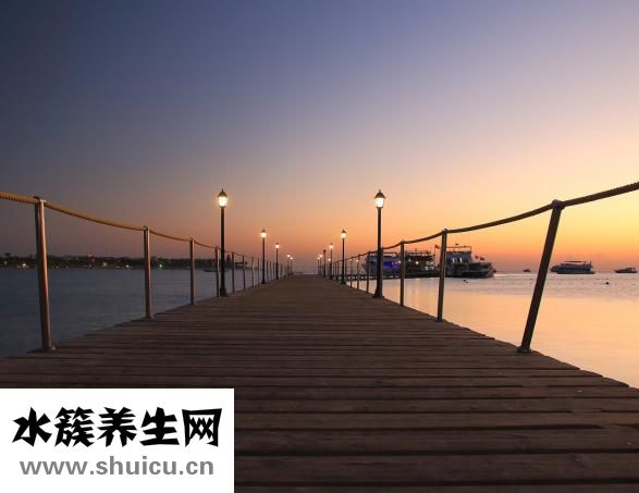 全身抽筋是什么原因