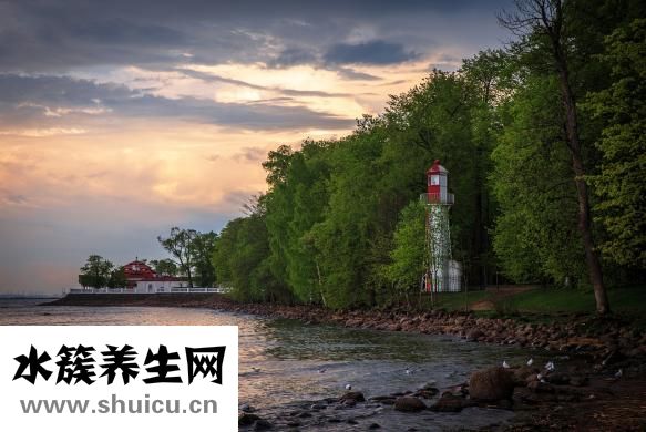 什么叫直系親屬