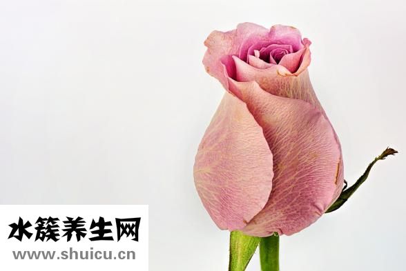 感冒發燒不能吃什么