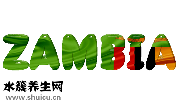 二分之一怎么打