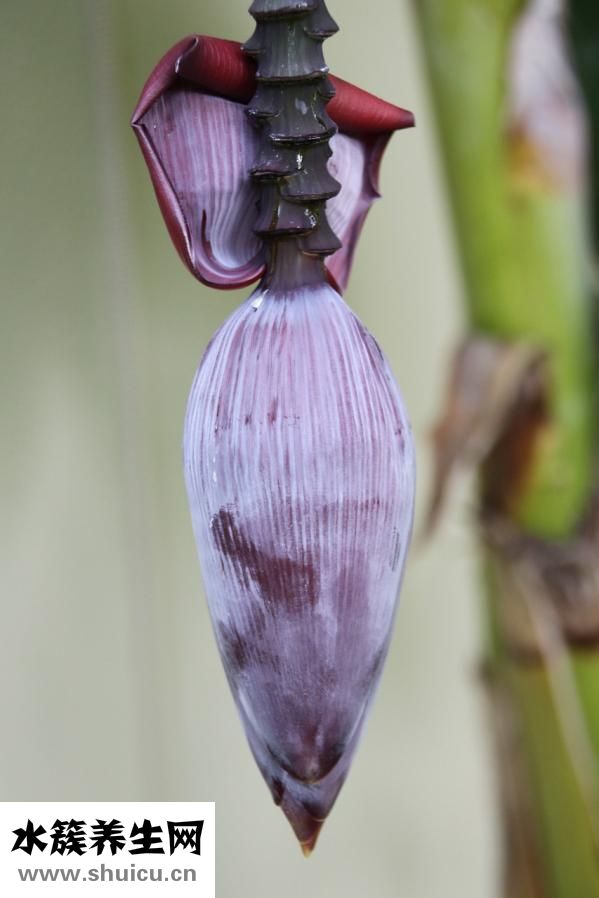 在家怎么能賺錢