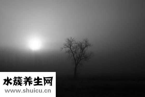 產后如何恢復身材