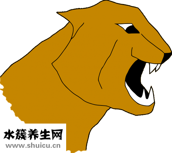 怎么看生男生女