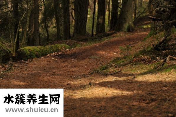 寶寶燙傷怎么辦