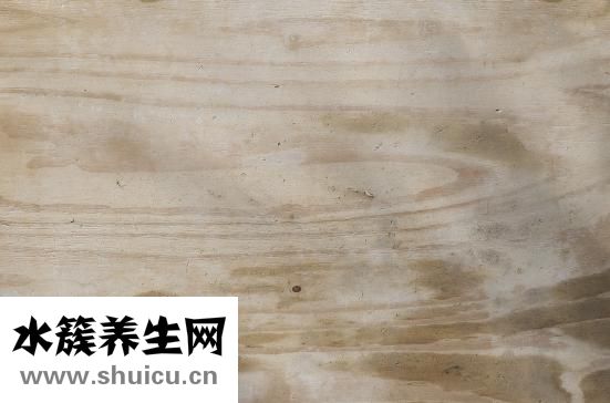 渝是哪里的簡稱