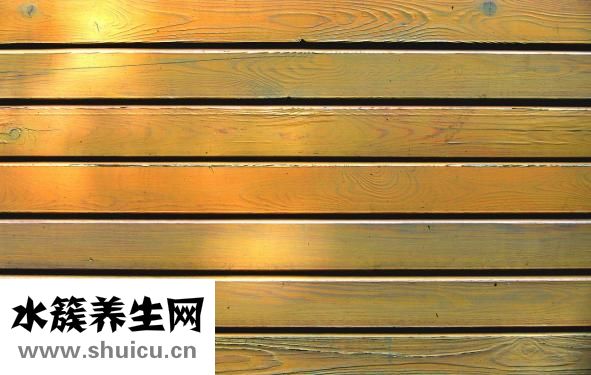 什么樣的枕頭好