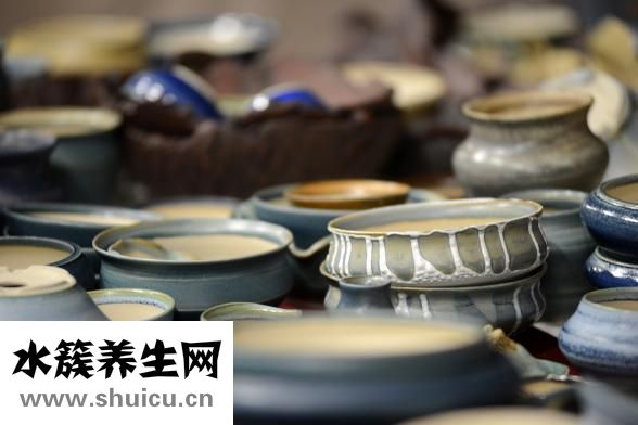 為什么回族不吃豬肉