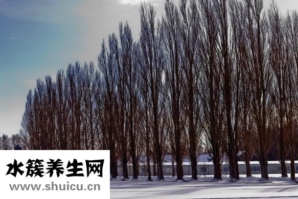 五行缺水怎么辦