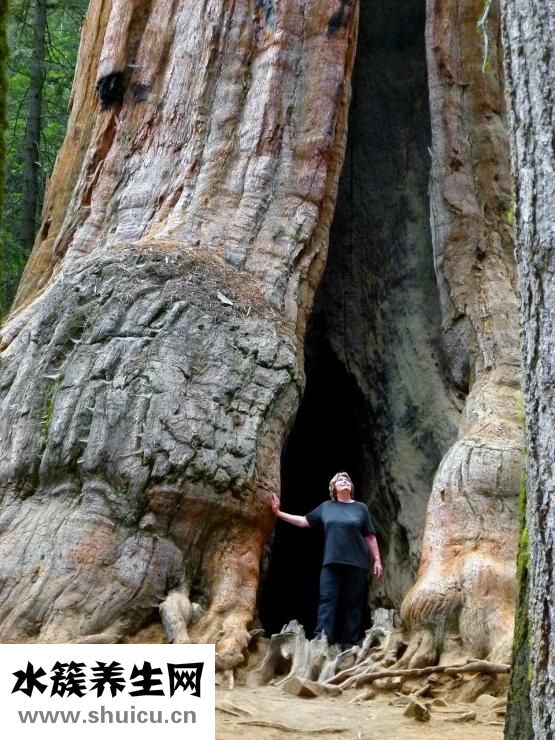 為什么不孕不育