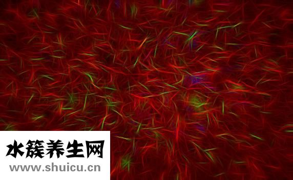 豐胸有什么危害