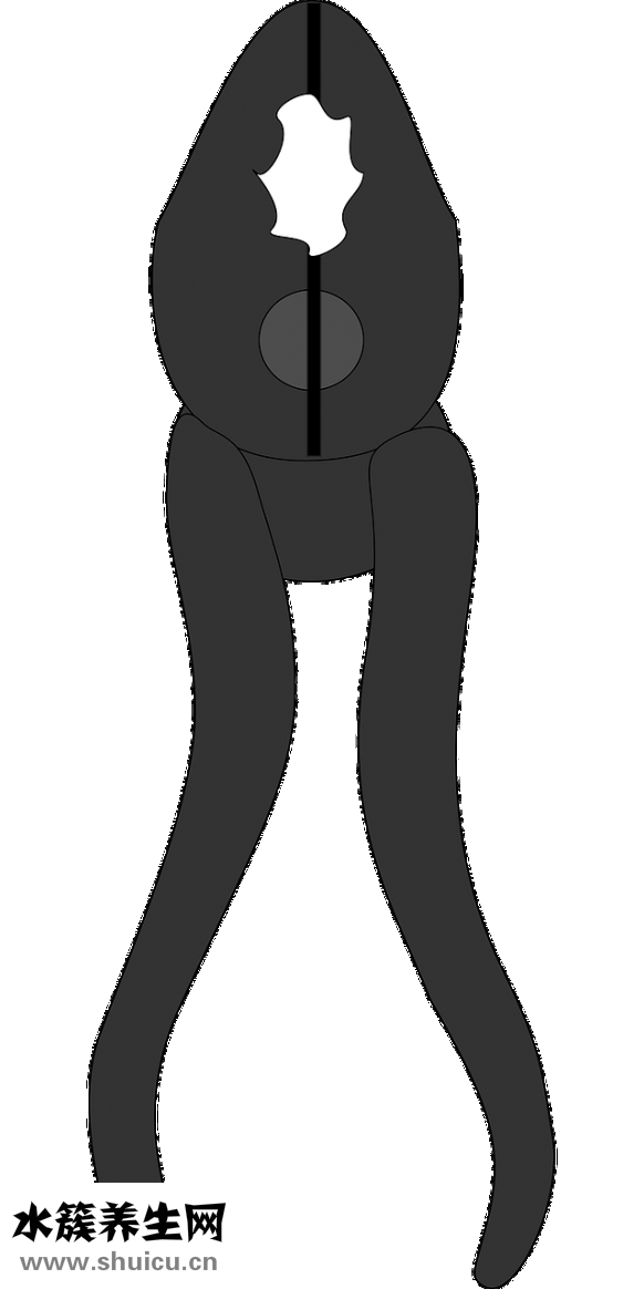 鼻子黑頭怎么辦