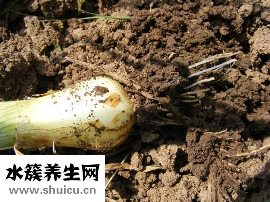 如何治療失眠癥