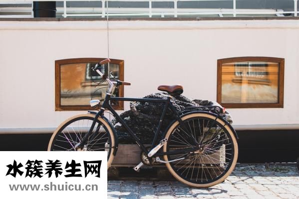 什么減肥效果好