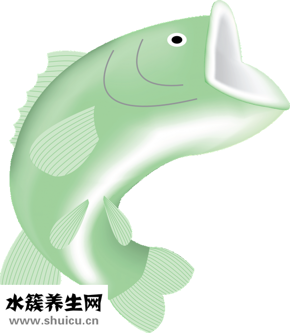 鯰魚吃什么
