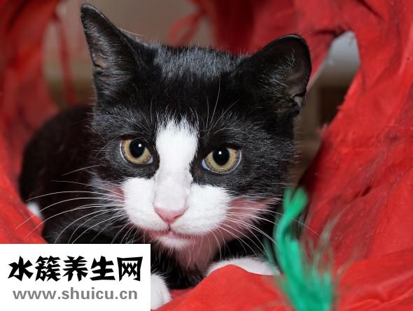 為什么會有紅血絲