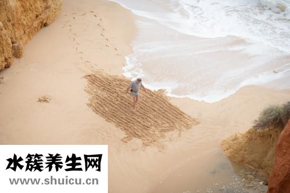 什么減肥效果好