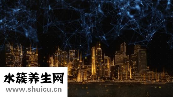 人有多少塊肌肉