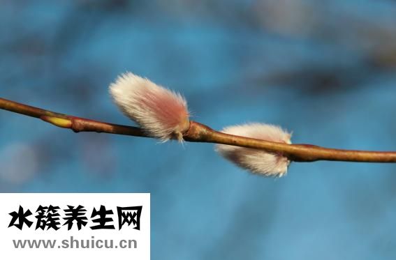 人為什么會害怕