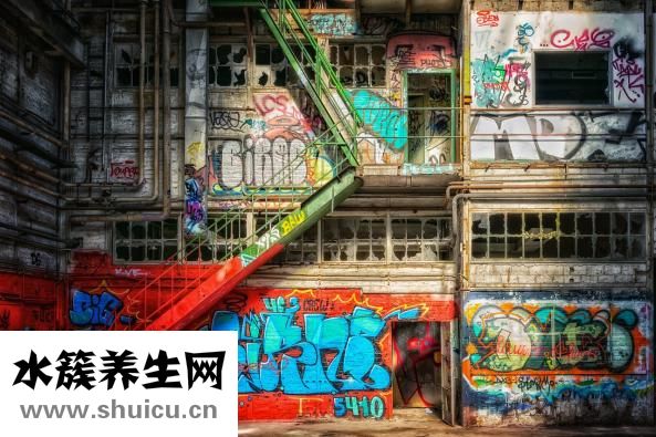 補(bǔ)腦的食物有哪些