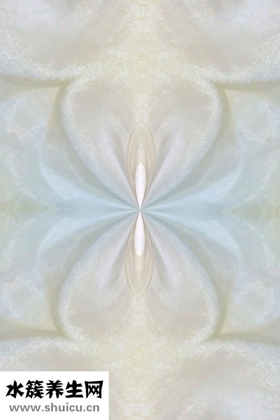 什么臉型適合劉海