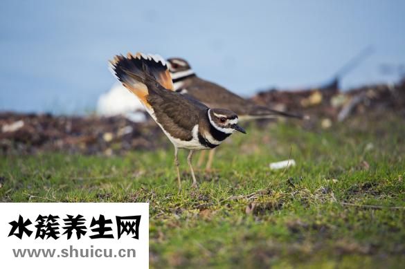 什么情況下容易懷孕