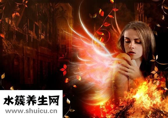 夏天煲什么湯好