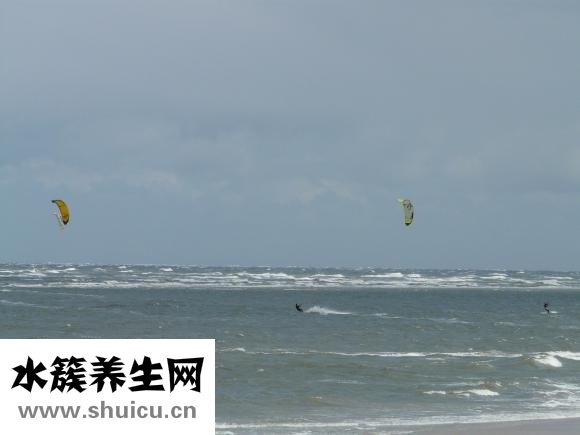 什么食物含堿性