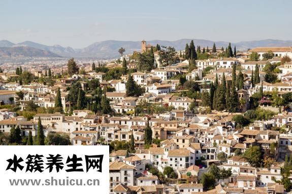 得了鼻炎怎么辦