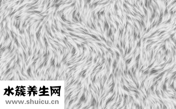 左肩膀疼是怎么回事