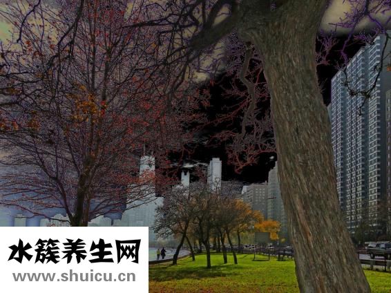 什么是非法同居