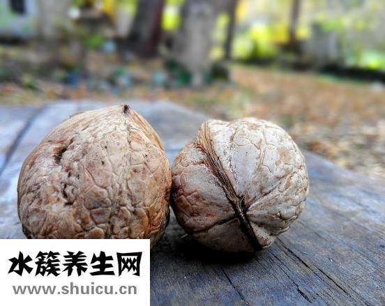 補(bǔ)腦的食物有哪些