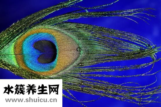 體質(zhì)差怎么辦