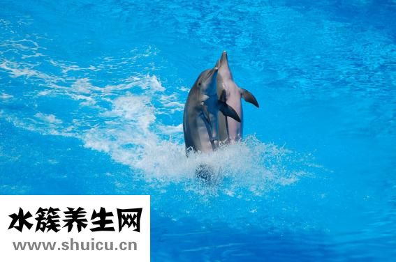 體育運動有哪些