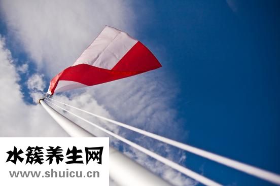 如何治療牙齦炎