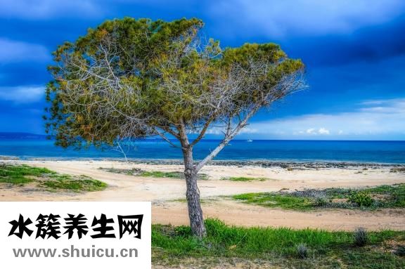 春節有哪些習俗