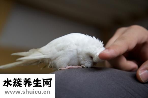 什么是神經衰弱