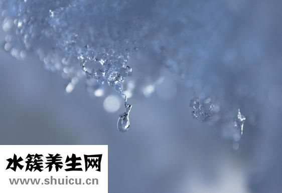 夏天煲什么湯好